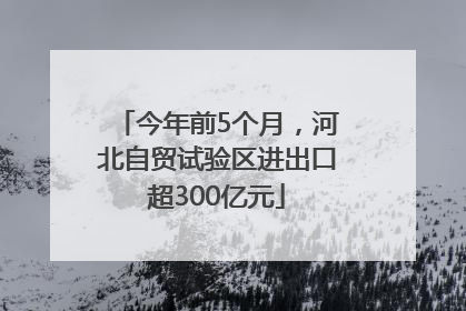 今年前5个月，河北自贸试验区进出口超300亿元