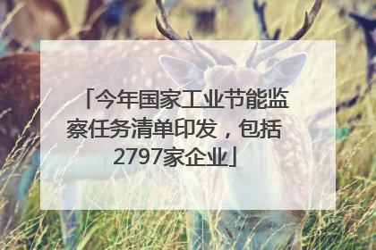 今年国家工业节能监察任务清单印发，包括2797家企业