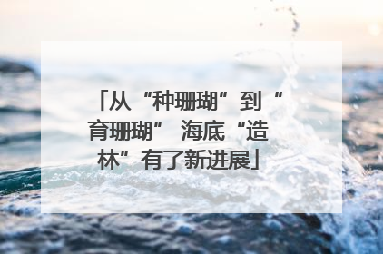 从“种珊瑚”到“育珊瑚” 海底“造林”有了新进展