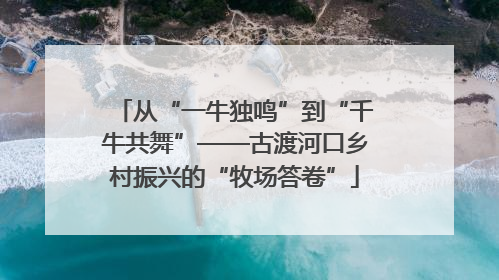 从“一牛独鸣”到“千牛共舞”——古渡河口乡村振兴的“牧场答卷”
