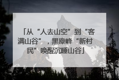 从“人去山空”到“客满山谷”，黑麋峰“新村民”唤醒沉睡山谷