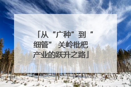 从“广种”到“细管” 关岭枇杷产业的跃升之路