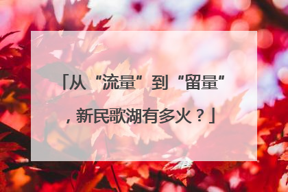 从“流量”到“留量”，新民歌湖有多火？