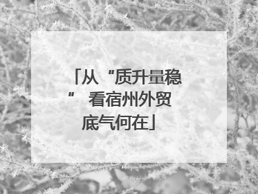 从“质升量稳” 看宿州外贸底气何在