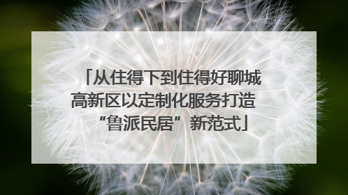 从住得下到住得好聊城高新区以定制化服务打造“鲁派民居”新范式