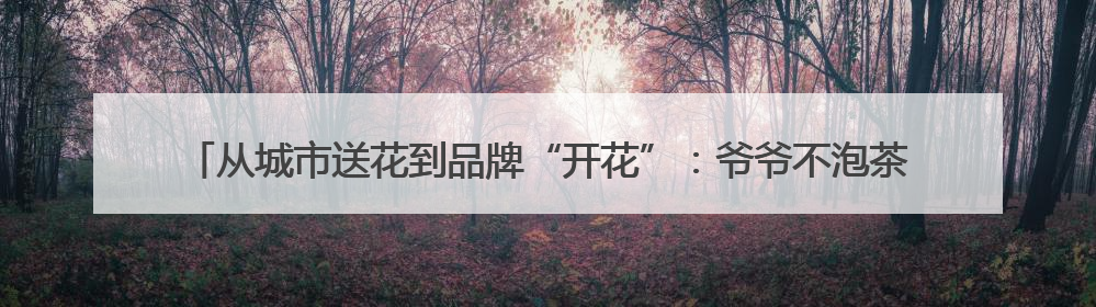 从城市送花到品牌“开花”：爷爷不泡茶的三省联动背后，是一次文化共振式扩张