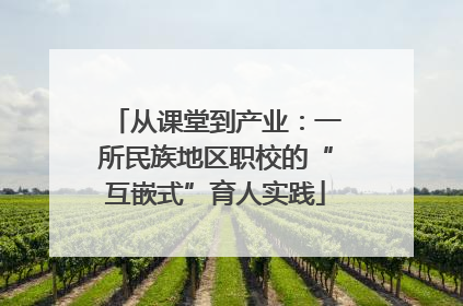 从课堂到产业：一所民族地区职校的“互嵌式”育人实践