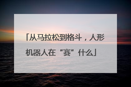 从马拉松到格斗，人形机器人在“赛”什么