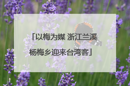 以梅为媒 浙江兰溪杨梅乡迎来台湾客