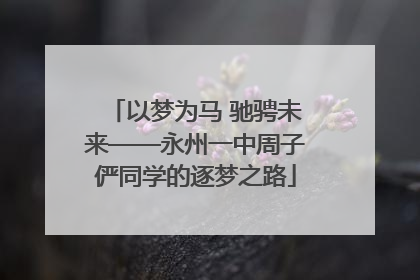 以梦为马 驰骋未来——永州一中周子俨同学的逐梦之路