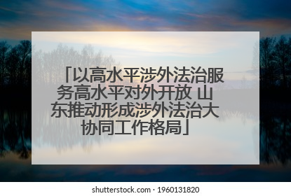 以高水平涉外法治服务高水平对外开放 山东推动形成涉外法治大协同工作格局