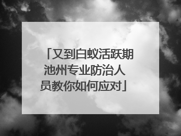 又到白蚁活跃期 池州专业防治人员教你如何应对