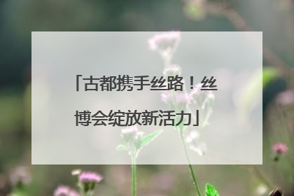 古都携手丝路！丝博会绽放新活力