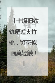 十堰旧铁轨邂逅夹竹桃，繁花似画莫轻触！