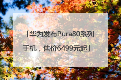 华为发布Pura80系列手机，售价6499元起