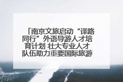 南京文旅启动“译路同行”外语导游人才培育计划 壮大专业人才队伍助力重要国际旅游目的地建设