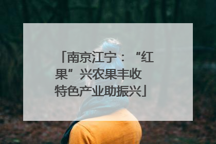 南京江宁：“红果”兴农果丰收 特色产业助振兴