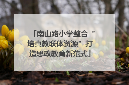 南山路小学整合“培真教联体资源”打造思政教育新范式