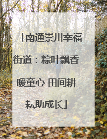 南通崇川幸福街道：粽叶飘香暖童心 田间耕耘助成长