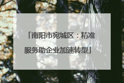 南阳市宛城区：精准服务助企业加速转型