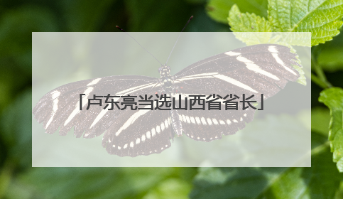 卢东亮当选山西省省长