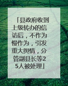 县政府收到上级转办的信访后，不作为慢作为，引发重大舆情，分管副县长等25人被处理