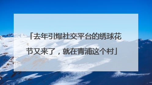 去年引爆社交平台的绣球花节又来了，就在青浦这个村