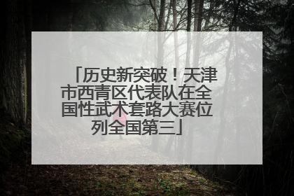 历史新突破！天津市西青区代表队在全国性武术套路大赛位列全国第三