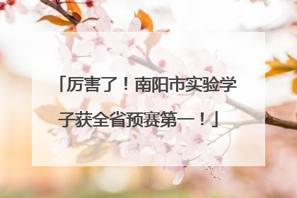 厉害了！南阳市实验学子获全省预赛第一！