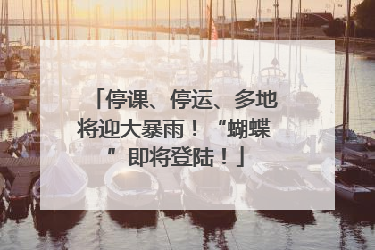 停课、停运、多地将迎大暴雨！“蝴蝶”即将登陆！