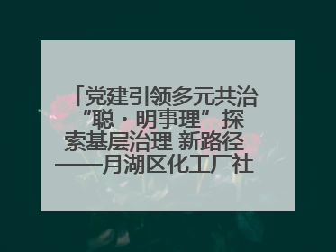 党建引领多元共治 “聪・明事理”探索基层治理 新路径——月湖区化工厂社区新实践