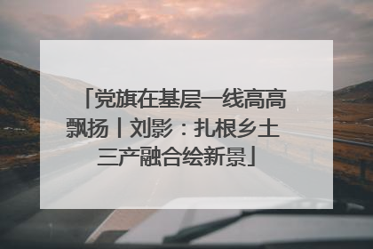 党旗在基层一线高高飘扬丨刘影：扎根乡土 三产融合绘新景