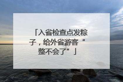 入省检查点发粽子，给外省游客“整不会了”
