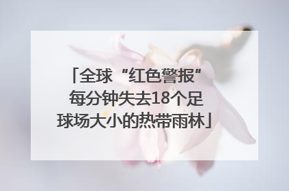全球“红色警报”  每分钟失去18个足球场大小的热带雨林