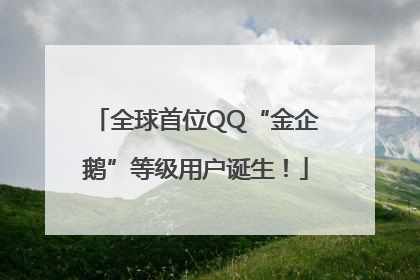 全球首位QQ“金企鹅”等级用户诞生！