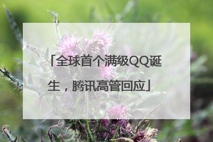 全球首个满级QQ诞生，腾讯高管回应