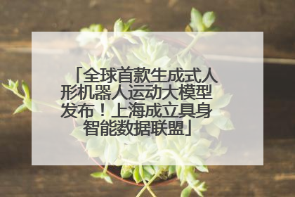 全球首款生成式人形机器人运动大模型发布！上海成立具身智能数据联盟