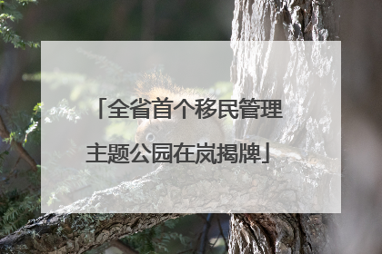 全省首个移民管理主题公园在岚揭牌