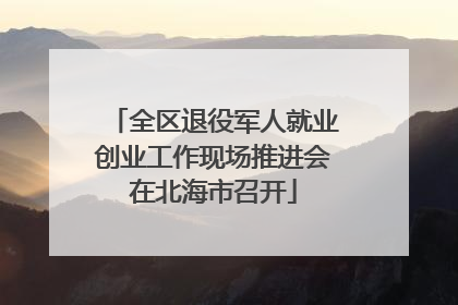 全区退役军人就业创业工作现场推进会在北海市召开