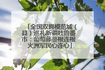 全国双拥模范城（县）巡礼新疆吐鲁番市：葡萄藤蔓根连根 火洲军民心连心