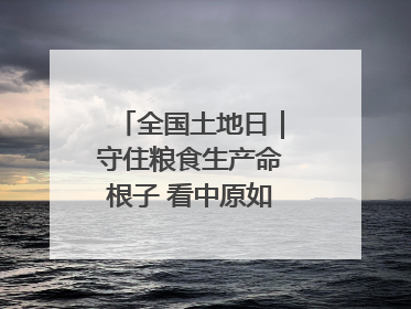 全国土地日｜守住粮食生产命根子 看中原如何“耕”新