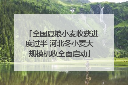 全国夏粮小麦收获进度过半 河北冬小麦大规模机收全面启动