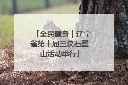 全民健身｜辽宁省第十届三块石登山活动举行