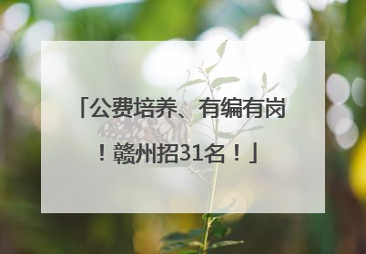 公费培养、有编有岗！赣州招31名！