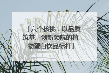六个核桃：以品质筑基、创新领航的植物蛋白饮品标杆