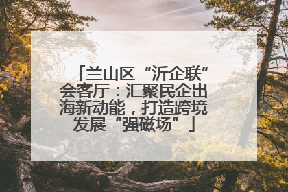 兰山区“沂企联”会客厅：汇聚民企出海新动能，打造跨境发展“强磁场”