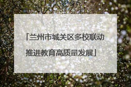 兰州市城关区多校联动推进教育高质量发展
