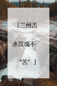 兰州苦水玫瑰不“苦”