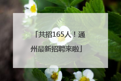 共招165人！通州最新招聘来啦