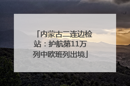 内蒙古二连边检站：护航第11万列中欧班列出境